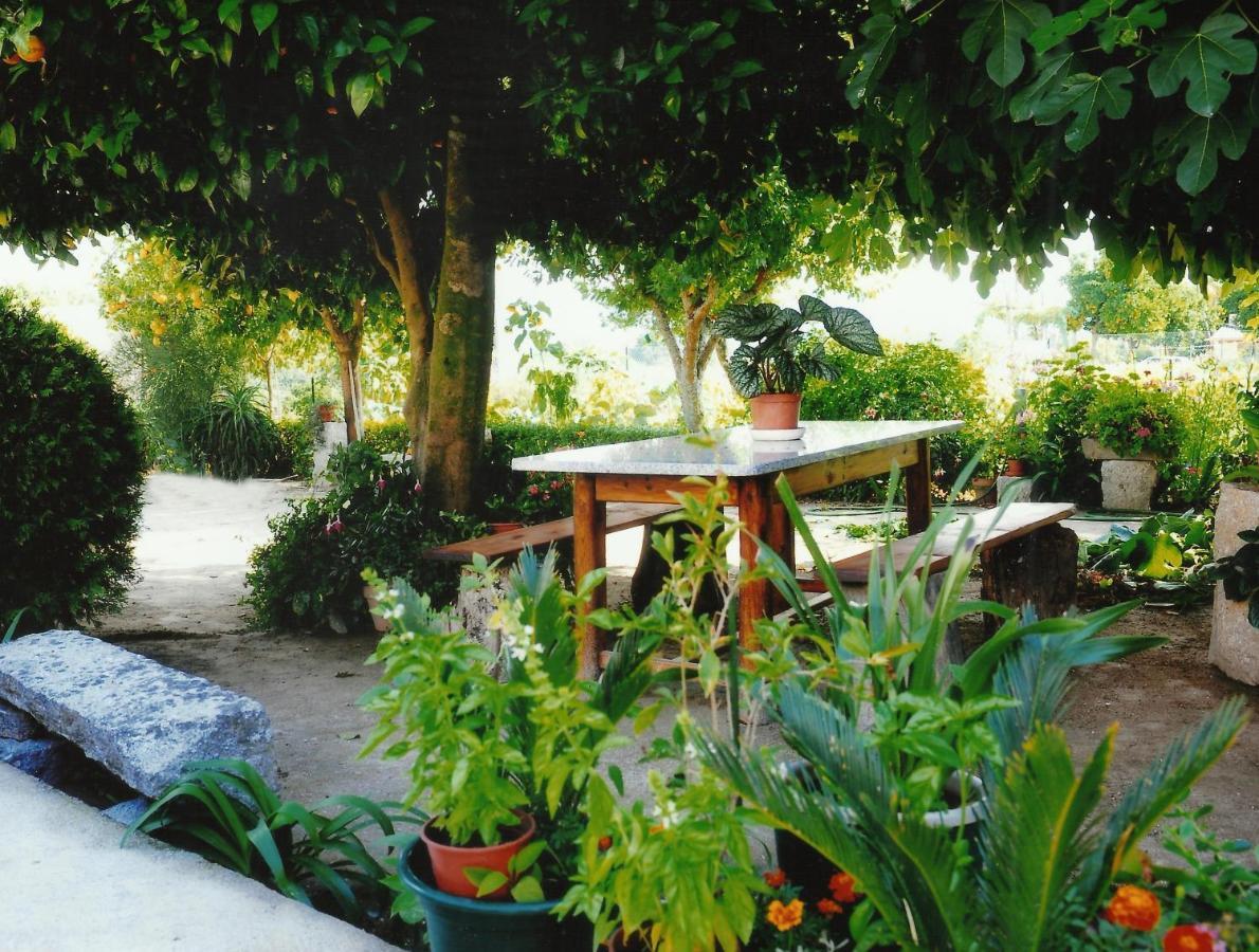 Casa Quelhas Βίλα Besteiros Εξωτερικό φωτογραφία